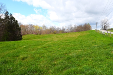 Hobby Farm, Hunting, Home Sites, 40.95 Acres, Creeks - image 1