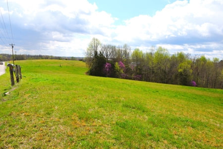 Hobby Farm, Hunting, Home Sites, 40.95 Acres, Creeks - image 47