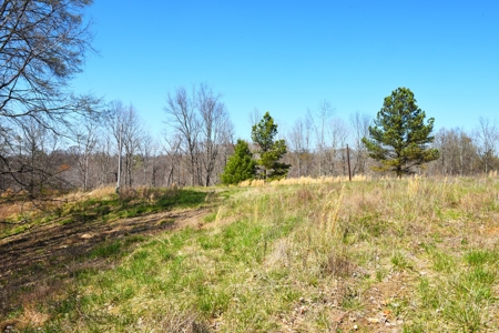 Hobby Farm, Hunting, Home Sites, 40.95 Acres, Creeks - image 22