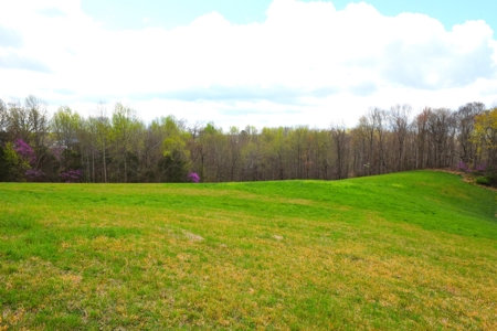 Hobby Farm, Hunting, Home Sites, 40.95 Acres, Creeks - image 44