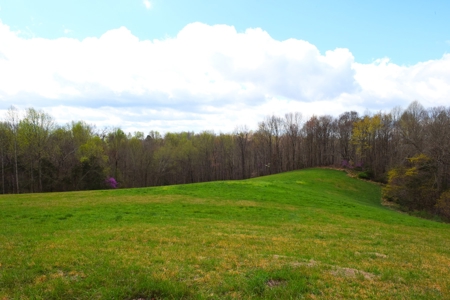 Hobby Farm, Hunting, Home Sites, 40.95 Acres, Creeks - image 43
