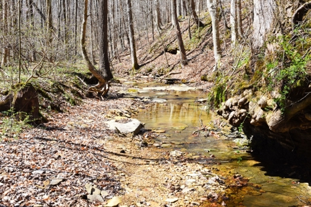 Hobby Farm, Hunting, Home Sites, 40.95 Acres, Creeks - image 11
