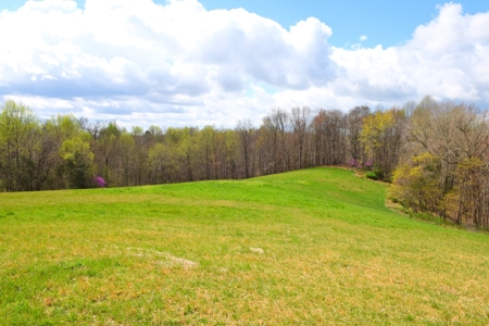 Hobby Farm, Hunting, Home Sites, 40.95 Acres, Creeks - image 46