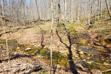 Hobby Farm, Hunting, Home Sites, 40.95 Acres, Creeks - image 18