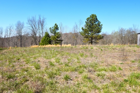 Hobby Farm, Hunting, Home Sites, 40.95 Acres, Creeks - image 24