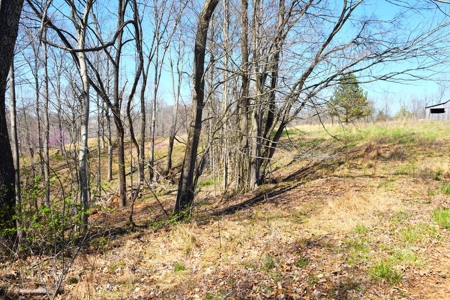 Hobby Farm, Hunting, Home Sites, 40.95 Acres, Creeks - image 21