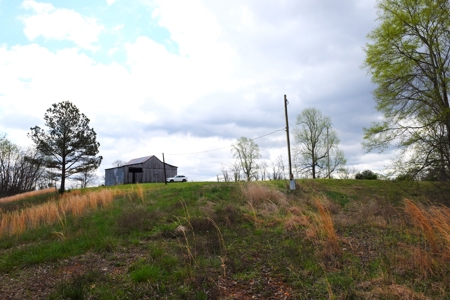 Hobby Farm, Hunting, Home Sites, 40.95 Acres, Creeks - image 37