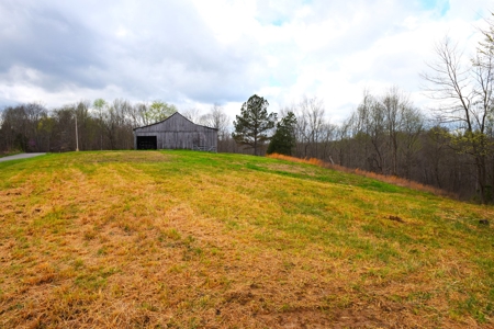 Hobby Farm, Hunting, Home Sites, 40.95 Acres, Creeks - image 2