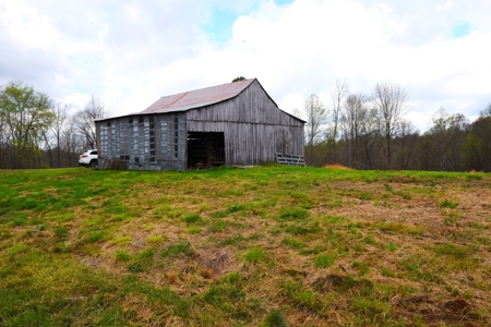 Hobby Farm, Hunting, Home Sites, 40.95 Acres, Creeks - image 28