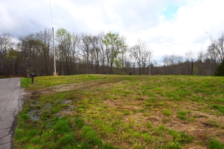 Hobby Farm, Hunting, Home Sites, 40.95 Acres, Creeks - image 27