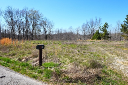 Hobby Farm, Hunting, Home Sites, 40.95 Acres, Creeks - image 25