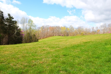Hobby Farm, Hunting, Home Sites, 40.95 Acres, Creeks - image 41