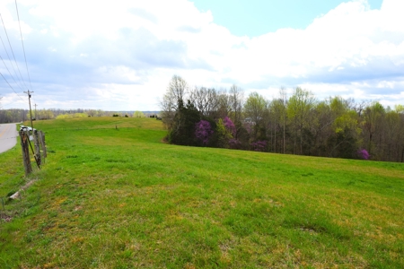 Hobby Farm, Hunting, Home Sites, 40.95 Acres, Creeks - image 45