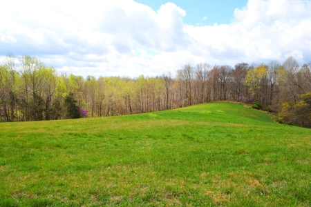 Hobby Farm, Hunting, Home Sites, 40.95 Acres, Creeks - image 49