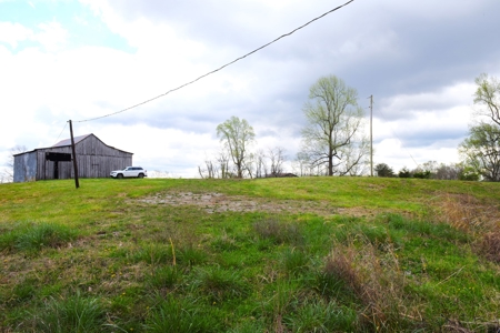 Hobby Farm, Hunting, Home Sites, 40.95 Acres, Creeks - image 4