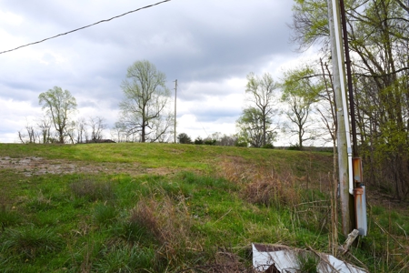 Hobby Farm, Hunting, Home Sites, 40.95 Acres, Creeks - image 39