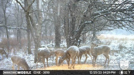 Saline County Kansas Pasture / Hunting Land Auction Salina - image 36