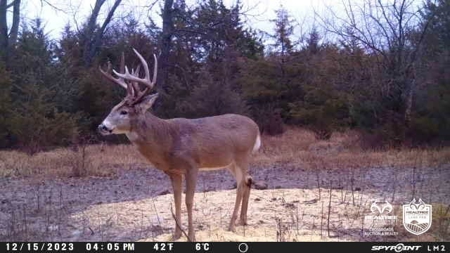Saline County Kansas Pasture / Hunting Land Auction Salina - image 29