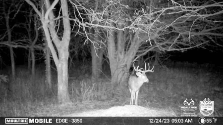 Saline County Kansas Pasture / Hunting Land Auction Salina - image 34