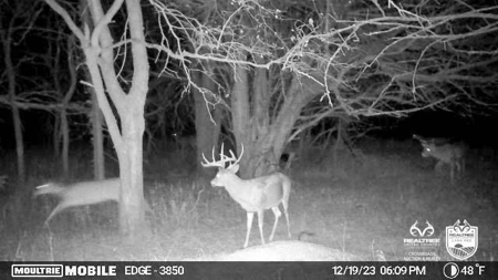 Saline County Kansas Pasture / Hunting Land Auction Salina - image 23