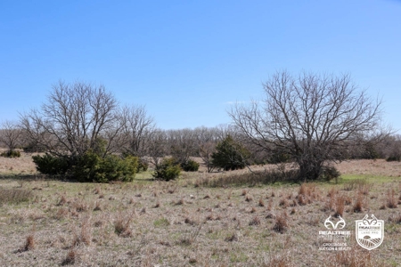 Saline County Kansas Pasture / Hunting Land Auction Salina - image 16