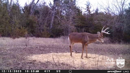 Saline County Kansas Pasture / Hunting Land Auction Salina - image 28