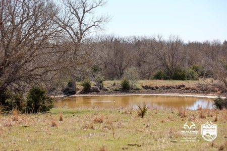 Saline County Kansas Pasture / Hunting Land Auction Salina - image 17