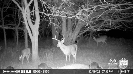 Saline County Kansas Pasture / Hunting Land Auction Salina - image 25