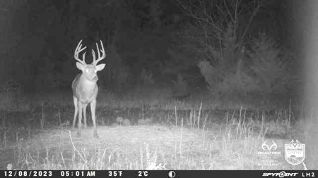 Saline County Kansas Pasture / Hunting Land Auction Salina - image 22