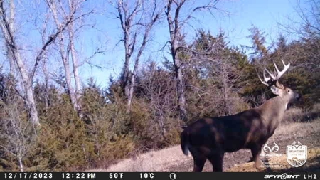 Saline County Kansas Pasture / Hunting Land Auction Salina - image 39