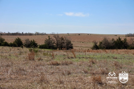 Saline County Kansas Pasture / Hunting Land Auction Salina - image 13