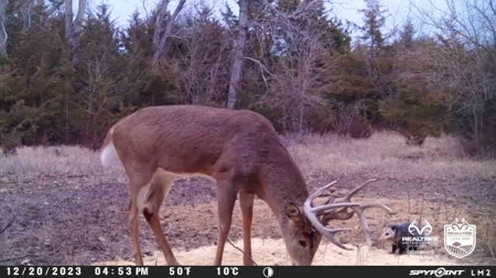Saline County Kansas Pasture / Hunting Land Auction Salina - image 33