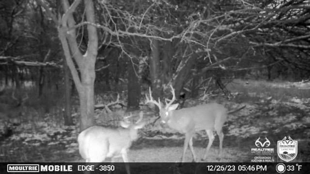 Saline County Kansas Pasture / Hunting Land Auction Salina - image 35