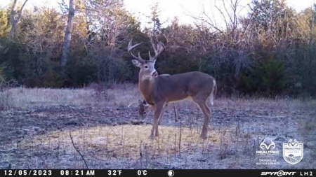 Saline County Kansas Pasture / Hunting Land Auction Salina - image 27