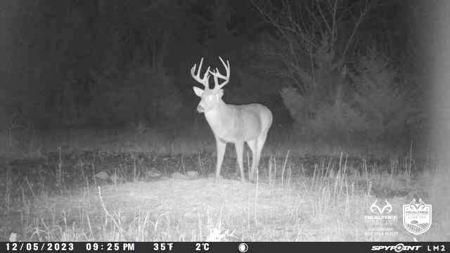 Saline County Kansas Pasture / Hunting Land Auction Salina - image 20
