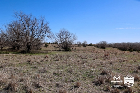 Saline County Kansas Pasture / Hunting Land Auction Salina - image 14