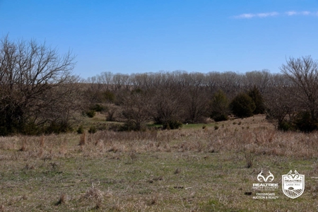 Saline County Kansas Pasture / Hunting Land Auction Salina - image 15