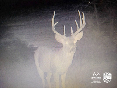 Saline County Kansas Pasture / Hunting Land Auction Salina - image 21