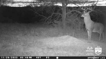 Saline County Kansas Pasture / Hunting Land Auction Salina - image 30