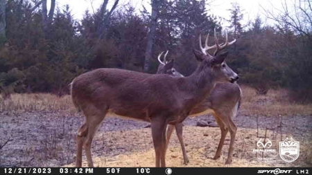 Saline County Kansas Pasture / Hunting Land Auction Salina - image 37