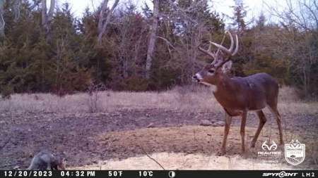 Saline County Kansas Pasture / Hunting Land Auction Salina - image 31