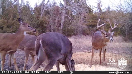 Saline County Kansas Pasture / Hunting Land Auction Salina - image 38