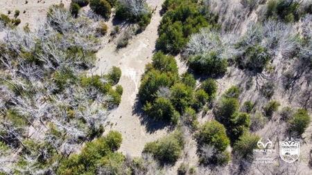 Saline County Kansas Pasture / Hunting Land Auction Salina - image 8