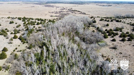 Saline County Kansas Pasture / Hunting Land Auction Salina - image 11
