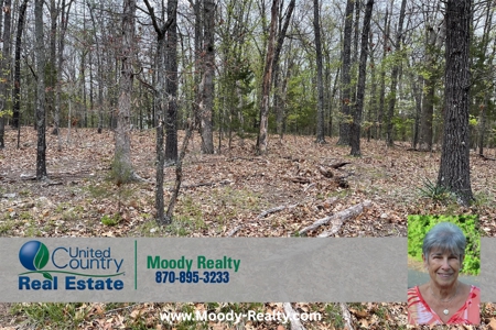 Beautiful Lot With A View Of Pioneer Lake In Arkansas - image 4