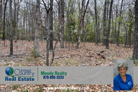 Beautiful Lot With A View Of Pioneer Lake In Arkansas - image 4