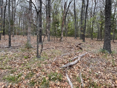 Beautiful Lot With A View Of Pioneer Lake In Arkansas - image 2
