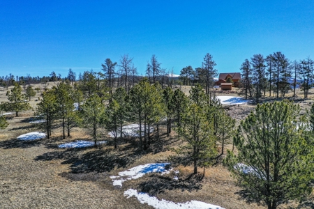 Beautiful Colorado Mountain Property with Amazing Views - image 42
