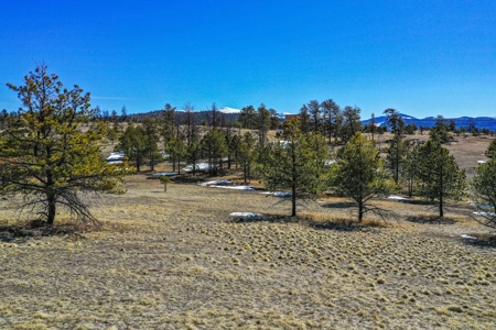 Beautiful Colorado Mountain Property with Amazing Views - image 3