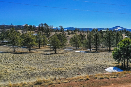 Beautiful Colorado Mountain Property with Amazing Views - image 6